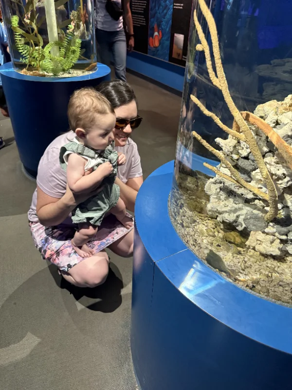 Indianapolis Zoo Membership Selection :: New Memberships