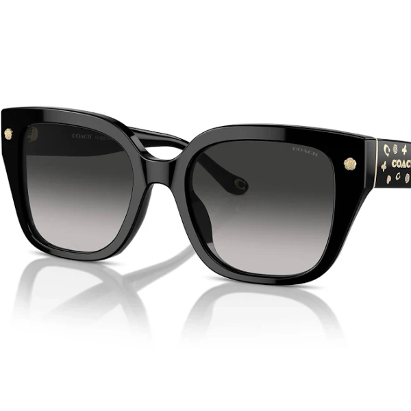 Coach Women's CR611 Oversized Square Sunglasses