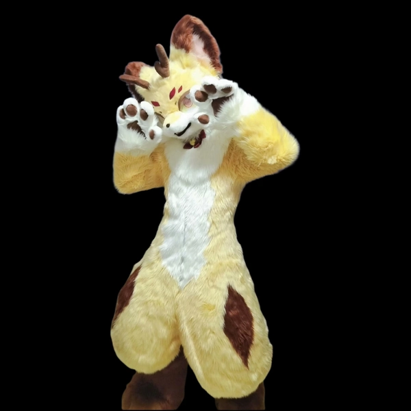 Fursuit Full Body,  FurryNew Pre-Made Fur Head, Furry Cosplay, Full Fursuit, Full Body Costume Cosplay