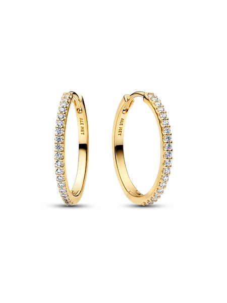 Sparkling Hoop Earrings