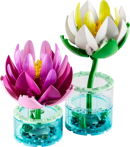 Water Lilies
