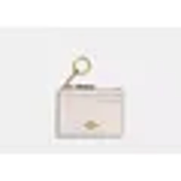 Coach Outlet Mini Skinny Id Case - White