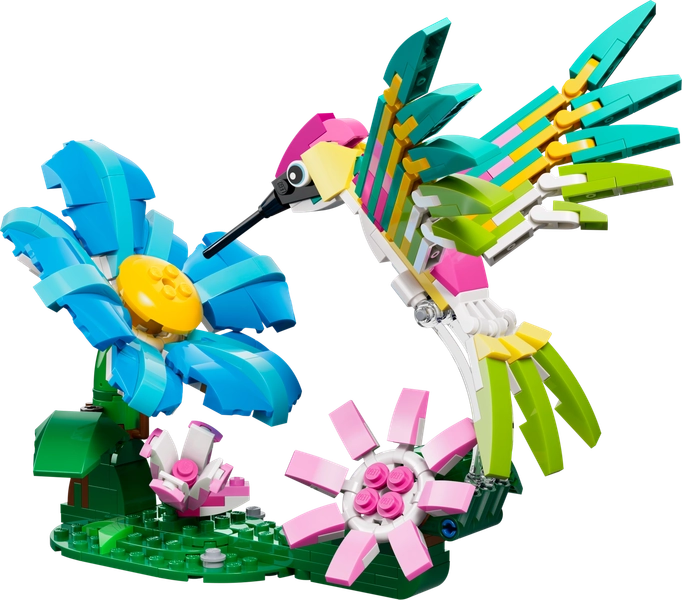 Wild Animals: Colorful Hummingbird