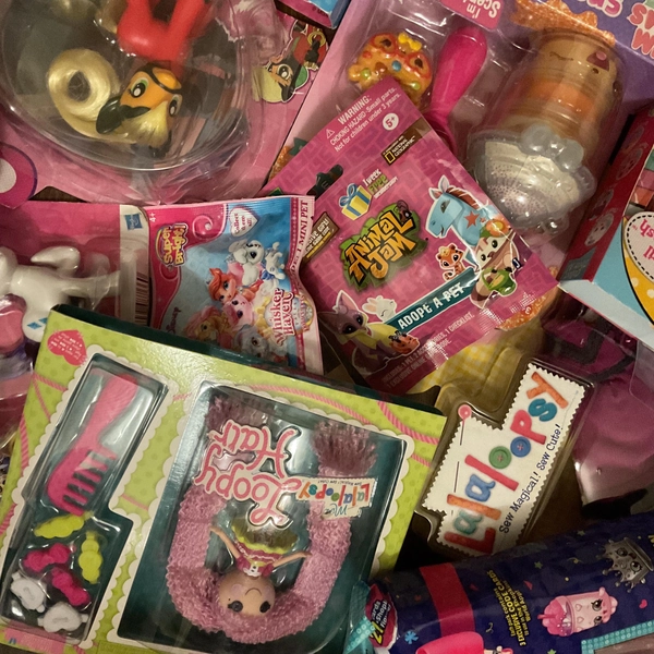 2010s Toy Mystery Grab (1 item)  – Nostalgic Childhood Collectibles
