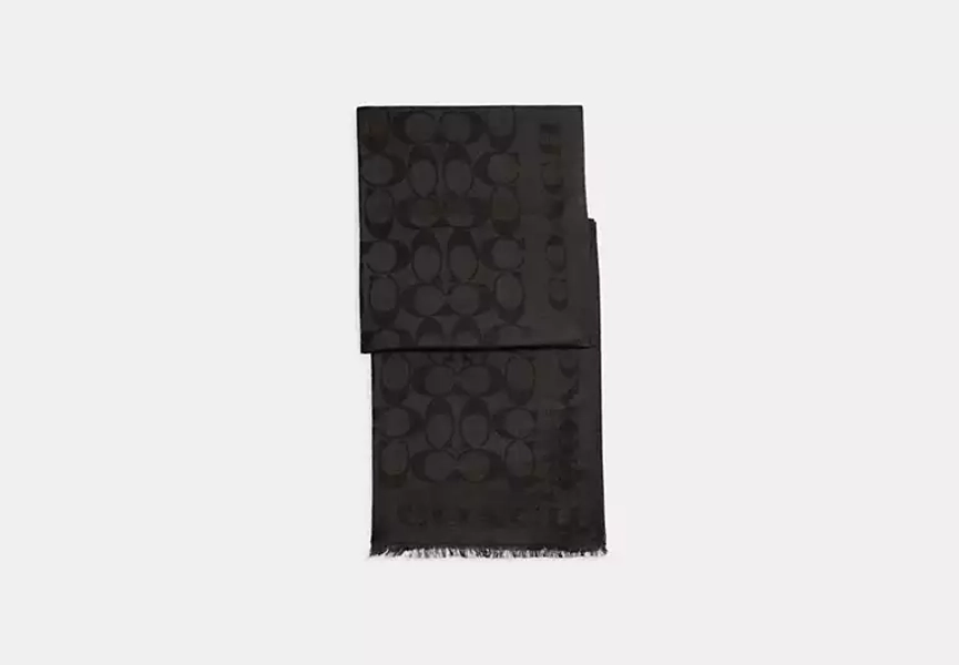 coach scarf