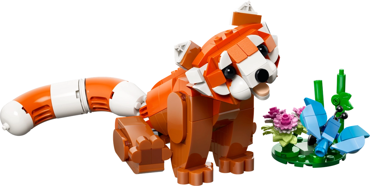Cute Animals: Red Panda