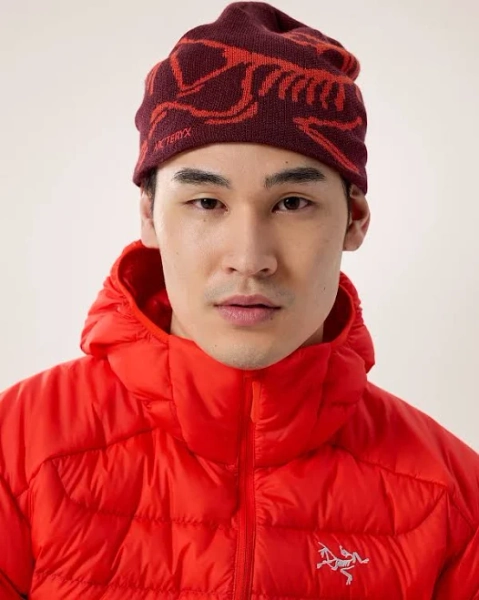 Arc'teryx Bird Head Toque