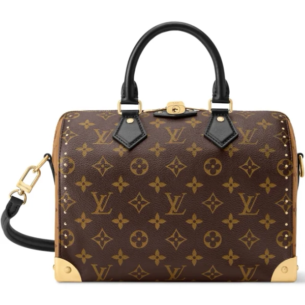 Louis Vuitton Speedy Trunk 25