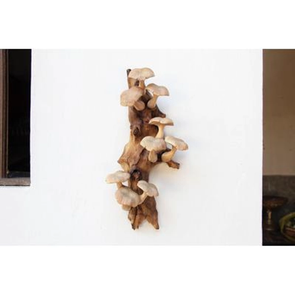 Wooden Mushroom Wall Art | Hand-Carved Driftwood Decor | Rustic Cottagecore Gift | Nature Wall Hanging | Christmas Home Decor | Woodland Art