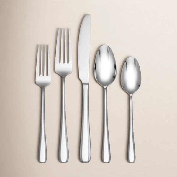 Oneida Waverly 20 Piece Everyday Flatware Set & Reviews | Birch Lane
