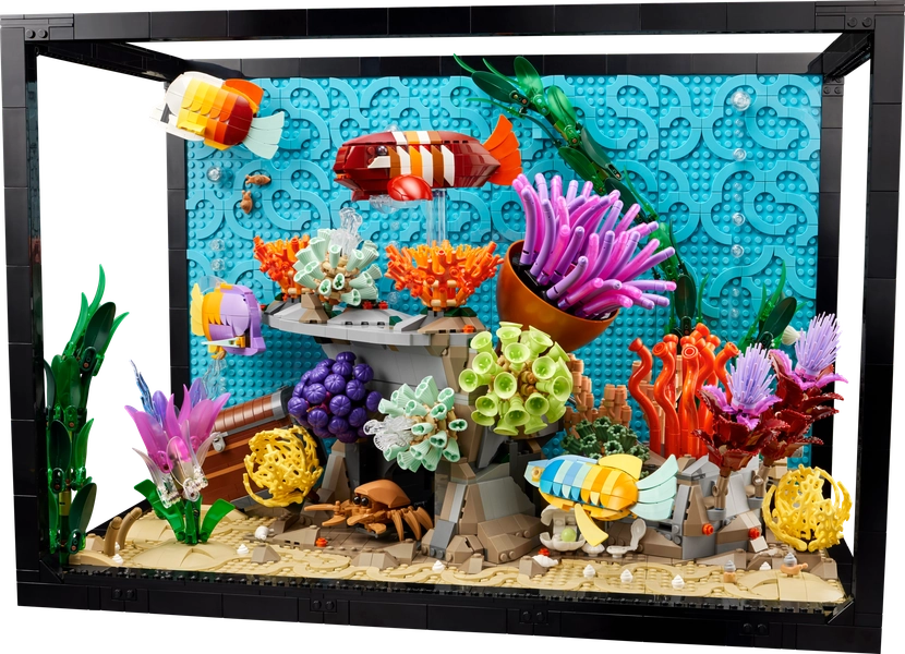 Acquario tropicale