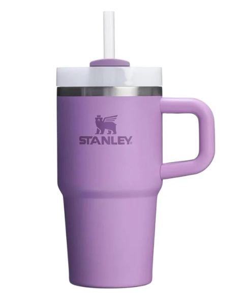 STANLEY Quencher H2.0 Tumbler with Handle and Straw 20 oz | Flowstate 3-Position Lid | Cup Holder Compatible for Travel | Insulated Stainless Steel Cup | BPA-Free | Peach Whip Gloss