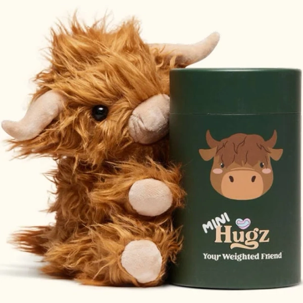 Mini Toffee the Highland Cow