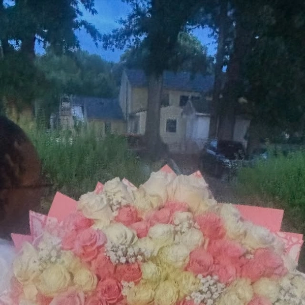 @justjaleifloral on Instagram: "Believe in your vision 💐"