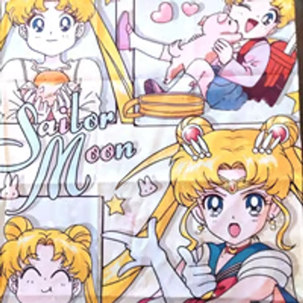 Anonymous Shipping Sailor Moon Tapestry Poster Usagi Tsukino Luna Anime