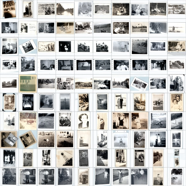 100 Vintage Photos Bulk Lot c1920s-1970s Junk Journal Scrapbook Fashion Animals
