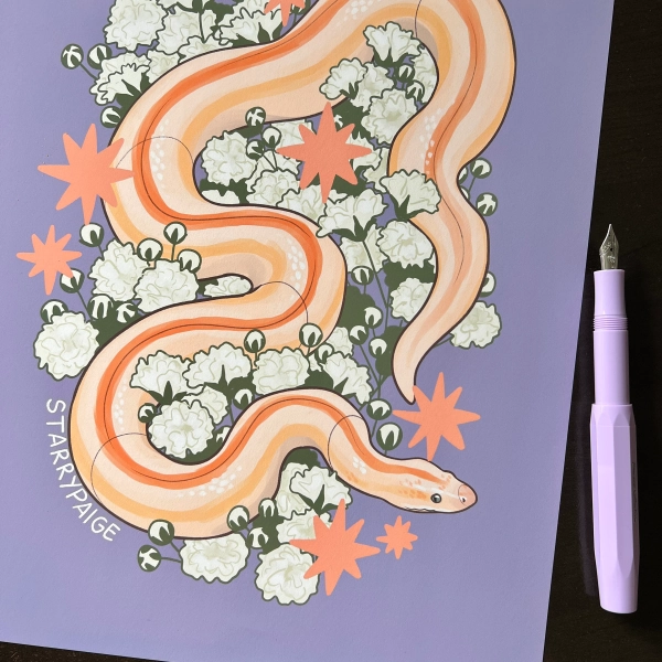 Rosy Boa and Baby’s Breath PRINT Snake Artwork