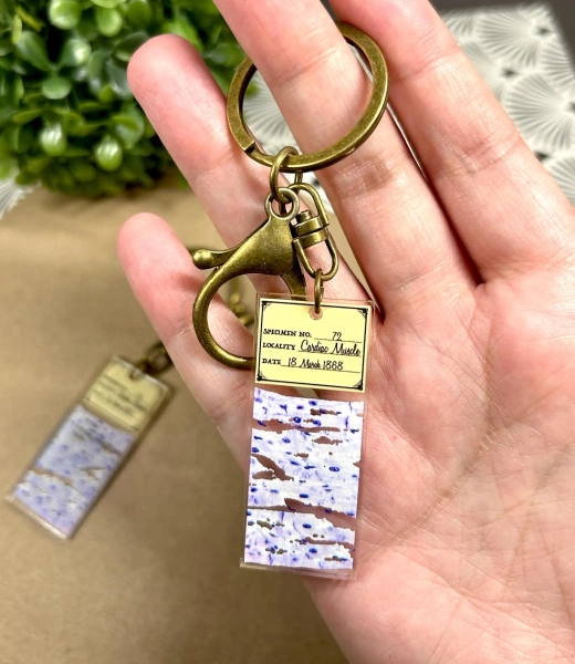 Cardiac Muscle Printed Microscope Slide Keychain - 2"