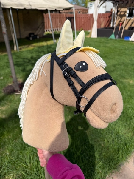 Handmade Hobby Horse