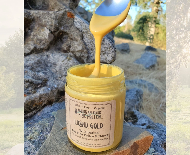Liquid Gold -  Wildcrafted Raw Pine Pollen and Honey
