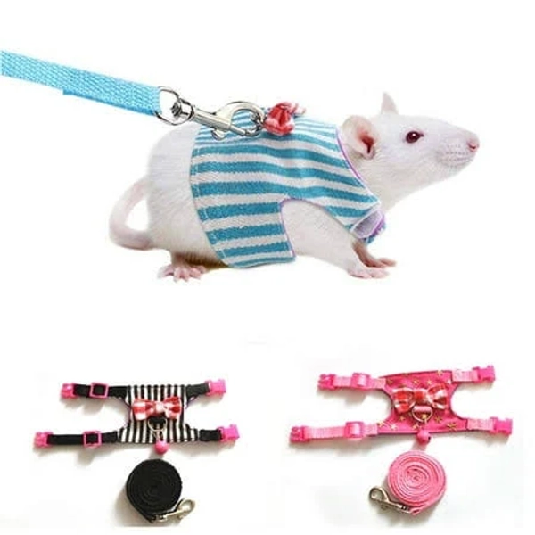 Ludlz Guinea Pig Harness and Leash