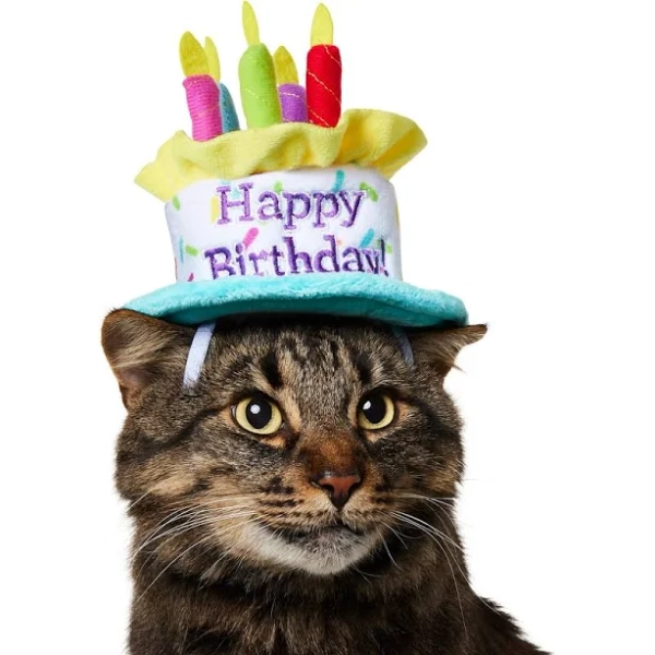 Frisco Birthday Cake Dog & Cat Hat