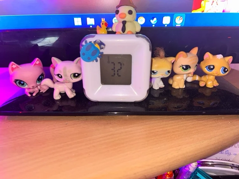 Petshop chat