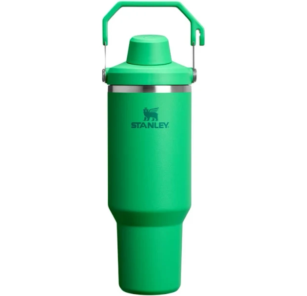 Stanley The IceFlow Tumbler with Fast Flow Lid