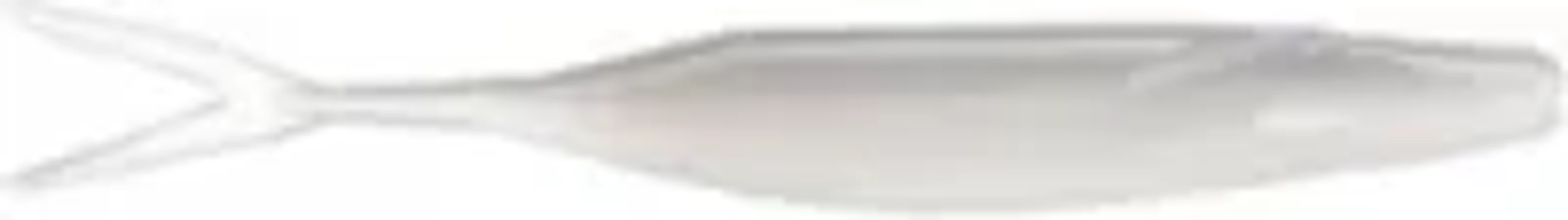 Zoom Bait Winged Fluke Softbait