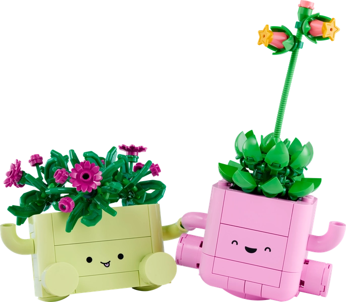 Rocking Plants