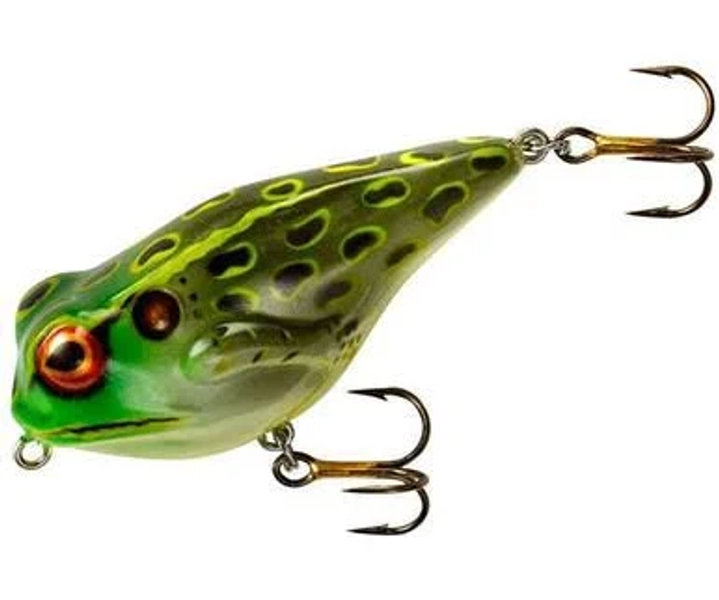 Rebel Frog R