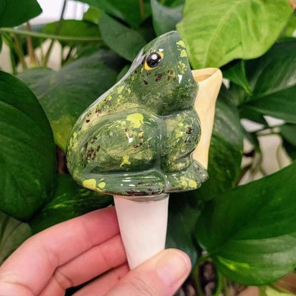 Open Mouth Frog Plant Watering Stake: Handmade Ceramic Olla for Houseplants and Gardens