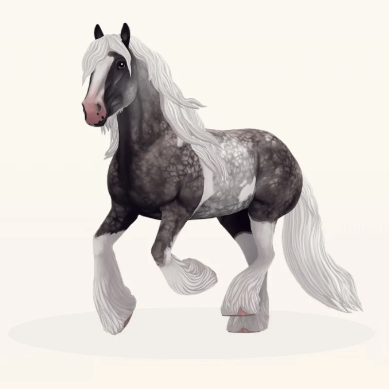 Irish cob
