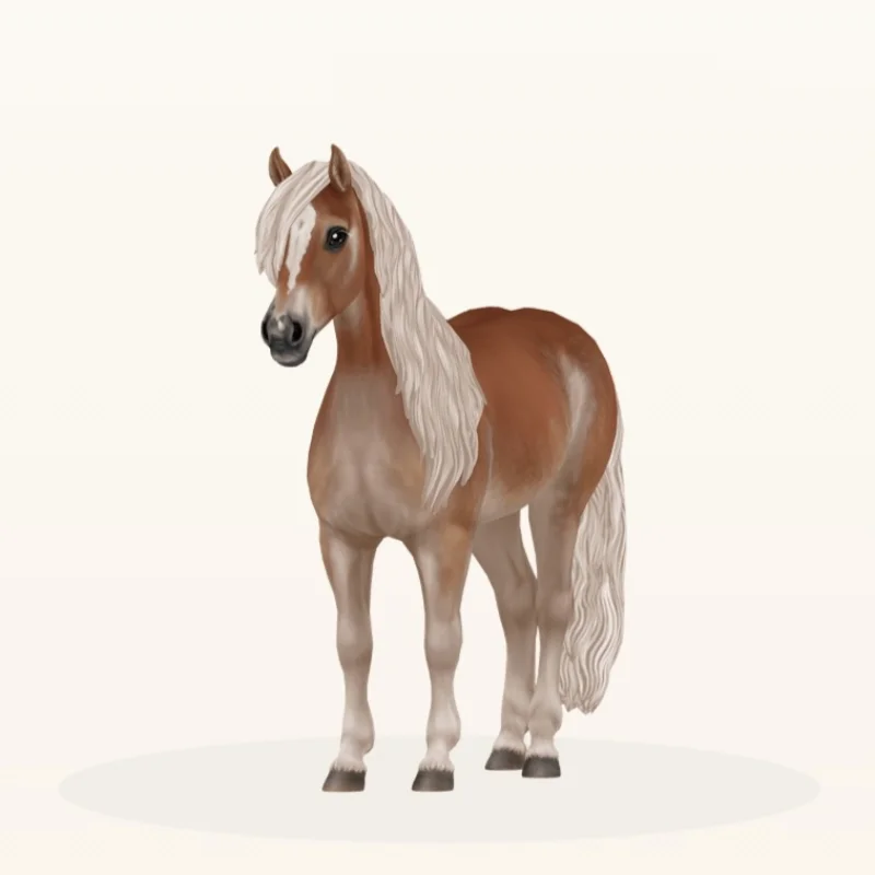 Haflinger