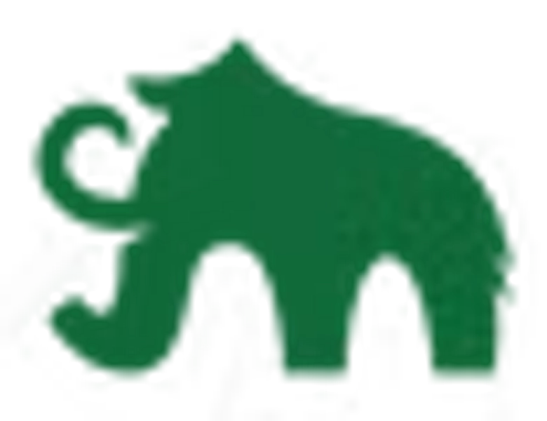 Silent Mammoth