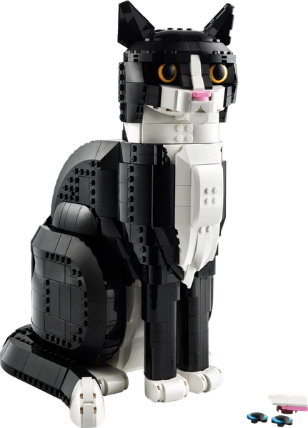Gatto Tuxedo