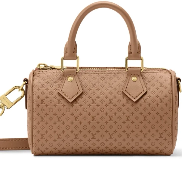 Louis Vuitton Nano Speedy Leather