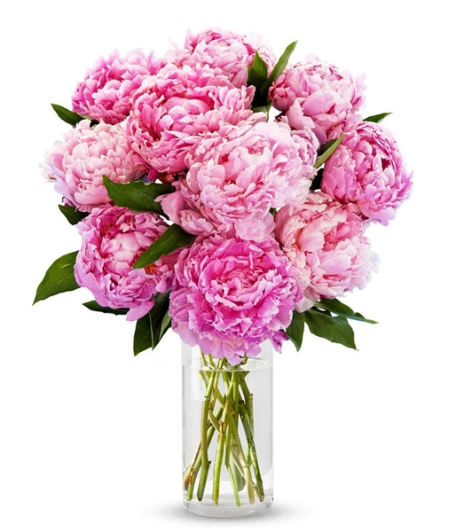 Pretty Pink Peonies at From You Flowers