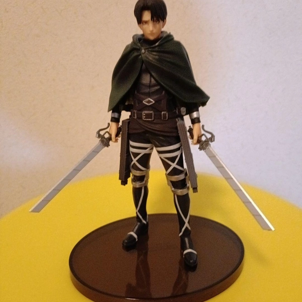 Levi