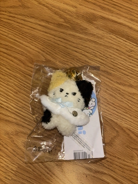 ZB1 Ricky Rinini Line Friends Zeroni Pop Up Sinsa Prince Plush Keyring (FREE PC)