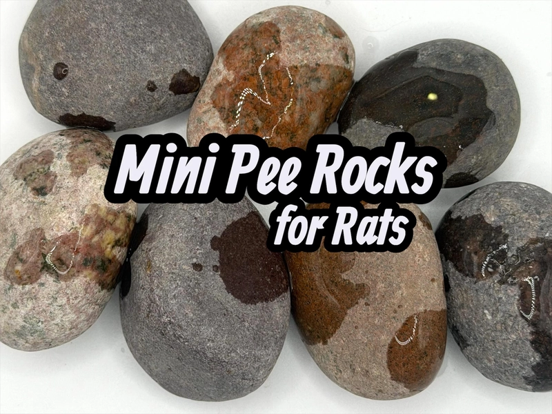 Mini Rat Pee Rocks: Urine Training Set