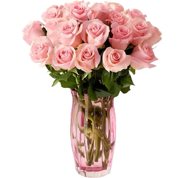 Pink Petal Roses 24 Stems