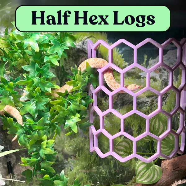 Snake Climbing Half Log: Reptile Enrichment Habitat Decor