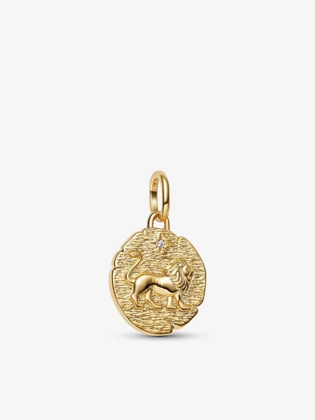 Lion Medallion Charm