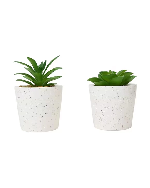 Artificial Succulent in Pot - Assorted - Assorted - One Size