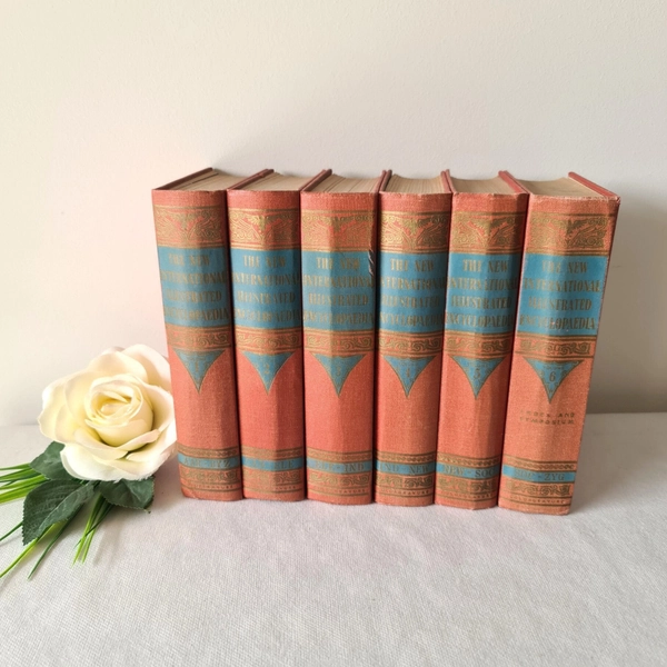 Book Set "The New International Illustrated Encyclopaedia" Hardcover 1 - 6, Rare Vintage Australian 1958