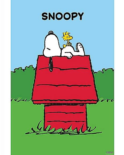 Snoopy and Woodstock Dog House Poster - Peanuts