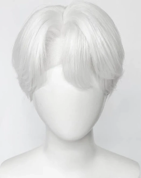 White Straight Lace Front Synthetic Hair Men's Wig