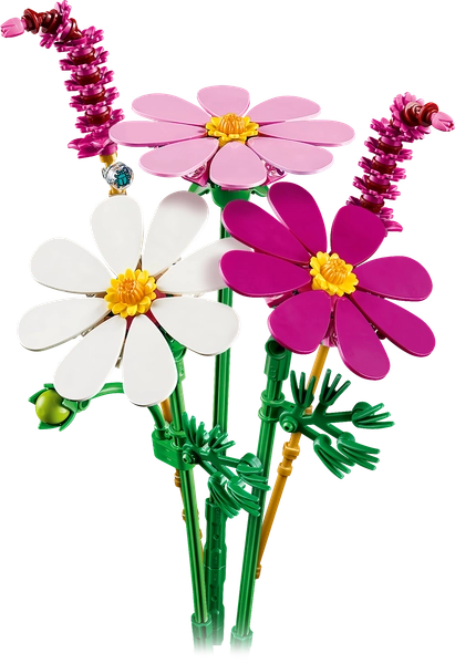 Cosmos Flowers