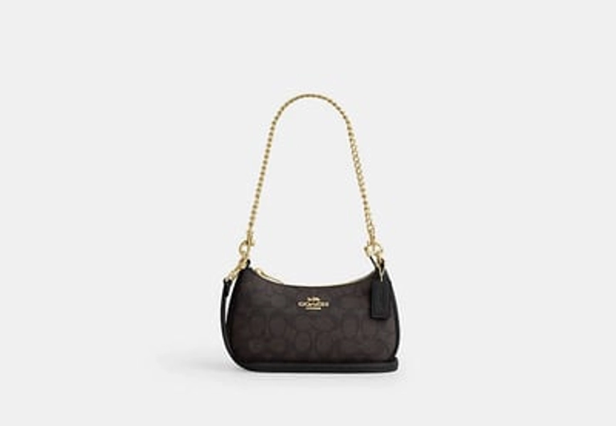 Coach Outlet Teri Crossbody Bag In Signature Canvas - Brown, Size: Mini